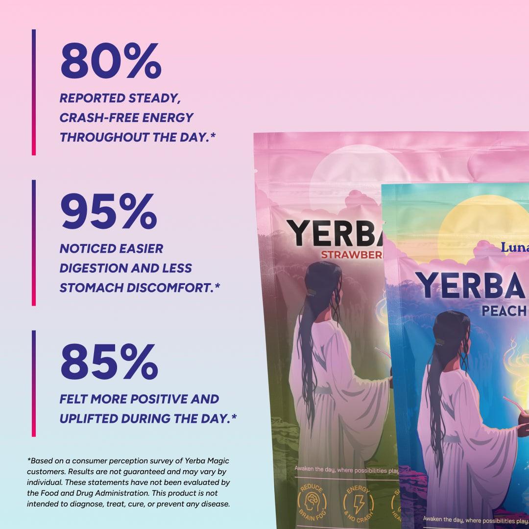 Yerba Mate Instant Tea Powder